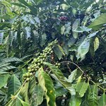 Photo taken by Breann B