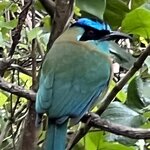 Photo taken by Charles H