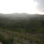 Photo taken by John B