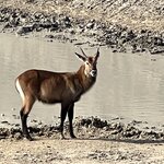 Photo taken by Michael L