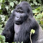 Photo taken by Michael L