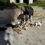 Photo taken by Mark W