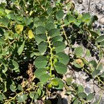 Photo taken by Jenifer B