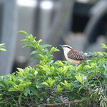 Photo taken by Dawne D