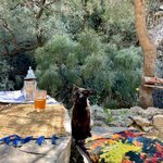 Photo taken by Mary G