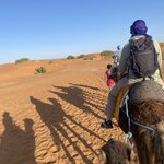 Photo taken by SARMA M