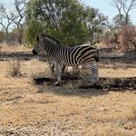 Photo taken by Tom B