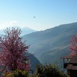 Taken on the way to Ghorepani during our second day walking | Photo taken by Axel A