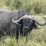 Photo taken by Julien C