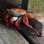 Photo taken by Jessica S