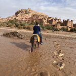 Photo taken by Thomas R