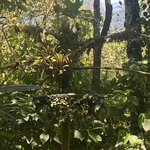 Photo taken by Jessica S