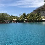 Photo taken by Khaled S