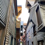 Photo taken by Marsha W