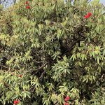 Photo taken by Ziyad H