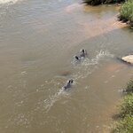 Photo taken by Christopher F