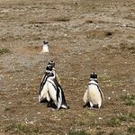 Photo taken by Rahul S