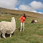 Photo taken by Marcia G