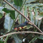 Photo taken by Pat K