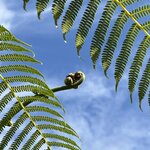 Photo taken by Victoria C