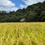 Photo taken by Joy W