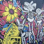 Photo taken by Julie S