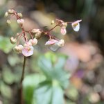 Photo taken by rebecca t