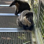 Photo taken by Graciela P