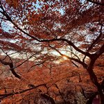 Photo taken by Glenda F