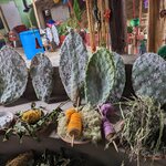 Photo taken by Tara T