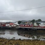 Photo taken by Kim M