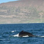 Photo taken by Cassandra M