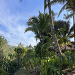 Photo taken by Cynthia C