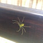 Photo taken by Jessica S