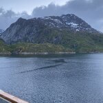 Photo taken by Daniel B