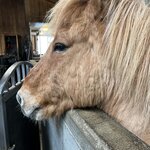 Photo taken by stefanie c