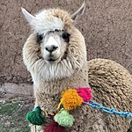 Photo taken by Katie H