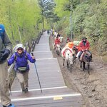 Photo taken by Vitaliy V