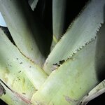 Photo taken by Tiphanny C