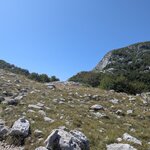 Photo taken by Stephanie J