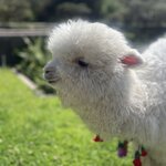 Photo taken by Gerald L