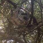 Photo taken by Tara V