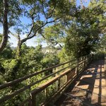 Photo taken by Sandra R