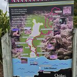 Photo taken by Thao T