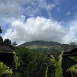 Photo taken by Victoria C