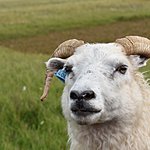 Floi Bird Reserve | Photo taken by William R