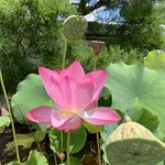 Photo taken by Deborah C