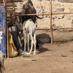 Photo taken by Beth M