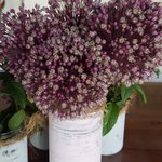 Photo taken by Carol P