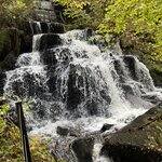 Photo taken by Danielle P